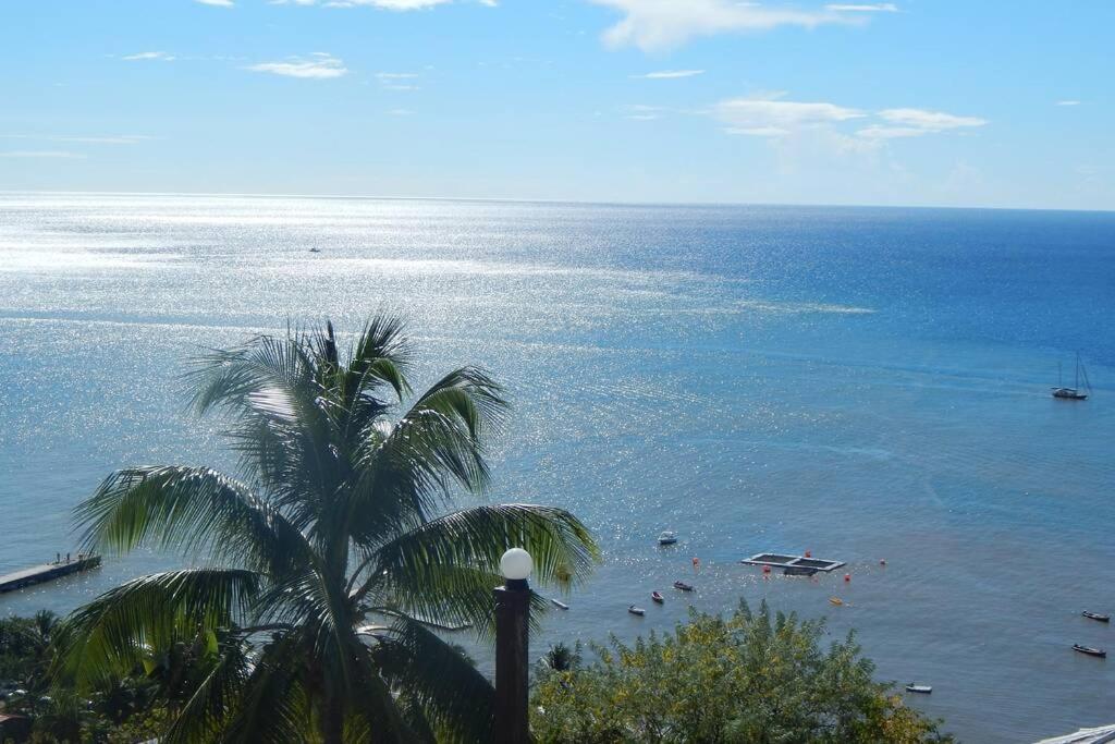 Le Morne Charlotte Villa Le Carbet Bagian luar foto