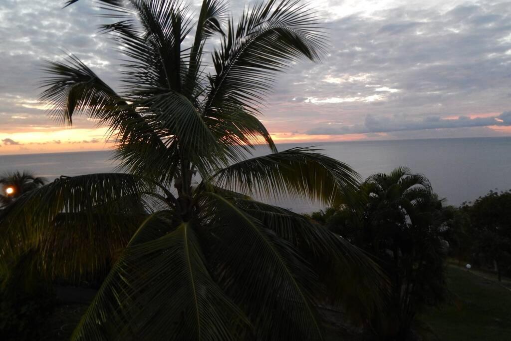 Le Morne Charlotte Villa Le Carbet Bagian luar foto